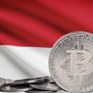 Indonesia’s Sovereign Fund could start accumulating Bitcoin