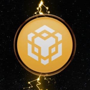 BNC spends $160 million to buy 200,000 BNB, becoming top corporate owner