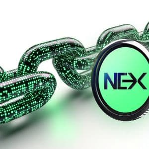 Don’t Miss the Next 100x Gains: Nexchain Ranks Above Remittix And BlockchainFx for Top Crypto 2025
