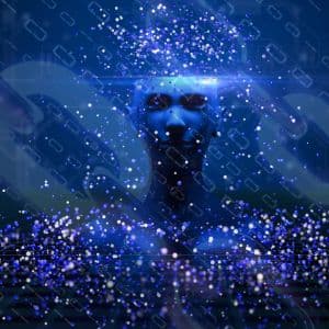 Paradex integration hacked as Mithril trading bot subkeys compromised