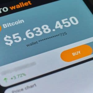 Most crypto tokens have been in a bear market since December 2024, Pantera