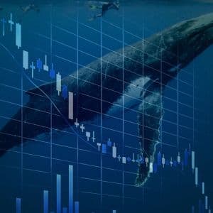 Whales step in to defend BTC price floor