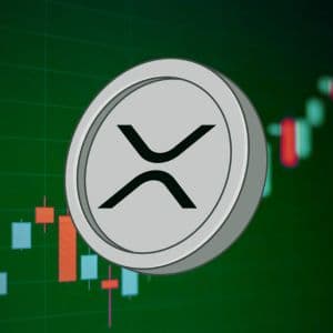 XRP wallets worth $1M+ increase as big holders keep buying