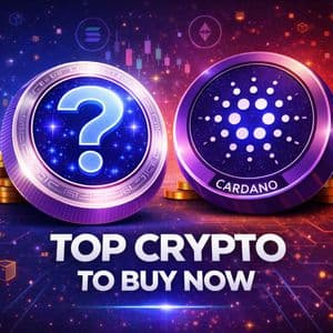 Cardano (ADA) vs. Mutuum Finance: Why the $0.04 Gem is the Best Crypto To Buy Now for Maximum ROI