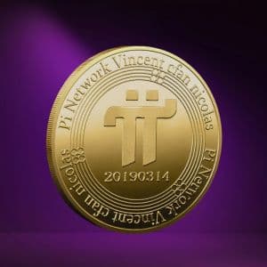 Pioneers voice concerns as Pi marks 1-year Open Network milestone