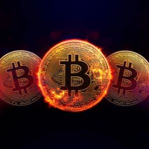 Arthur Hayes plans to wait for Fed liquidity expansion before buying Bitcoin