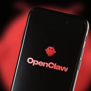 Chinese gov't and state-owned firms are warning employees to avoid installing OpenClaw on work devices