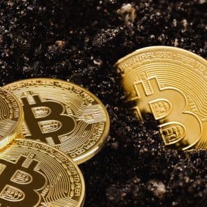 Illegal BTC mining duo share 14-year sentence as mining difficulty hovers near all-time high
