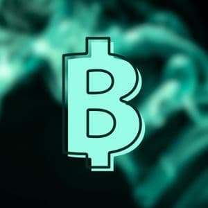 New Zonda CEO names missing founder as holder of BTC worth $336M