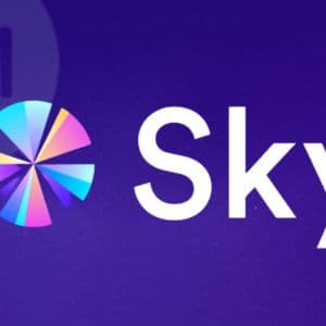 Sky Protocol moves to restructure treasury post-Genesis Capital close