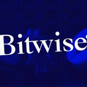 Bitwise CEO has a message for Crypto investors chasing AI stocks