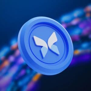 Morpho raises $175 million from Paradigm, a16z crypto, and Ribbit Capital as it closes gap on Aave