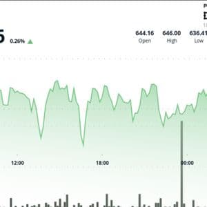 BNB Trades in Tight Range Amid Decreasing Volatility