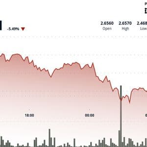 Filecoin Plunges 6% as Selling Pressure Increases, Crypto Market Retracts