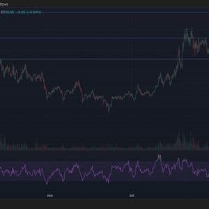 Litecoin Surges 10% on ETF Hopes and Merchant Activity Amid Quiet Rotation