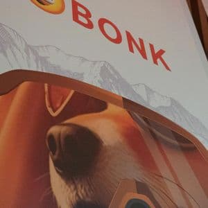 Solana Memecoin BONK Gets a $25M Corporate Treasury Boost