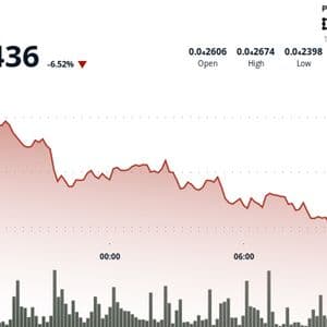 BONK Slides 6% to Test Key Support