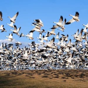 The Protocol: Zora moves to Solana