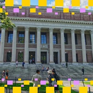 Here is why Harvard trimmed bitcoin and bought ether and why the move is bullish for crypto