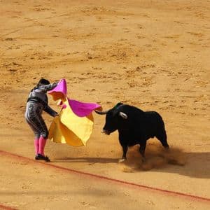 Bitcoin’s $80,000 bull bet just took over the market