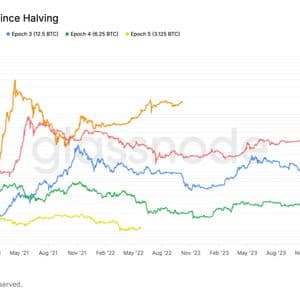 Bitcoin passes halfway point in halving cycle as price gains trail prior cycles