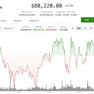 Coinbase rebounds as altcoins surge with bitcoin holding above $80,000