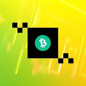 Bitcoin may bottom in October if historical reward-halving cycle holds