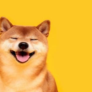 Memecoins dogecoin, shiba inu dive 9% as bitcoin nears $60,000