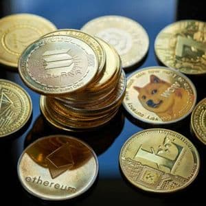 Safety Shot slides after selecting memecoin BONK as its core treasury asset
