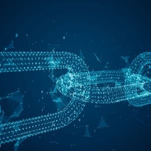 Whale's Insight: Onchain Utility, Offchain Control