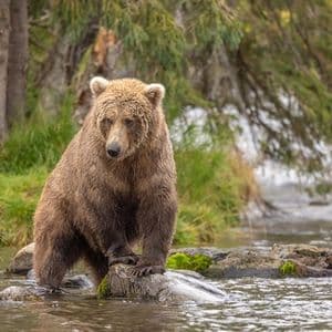 Bitcoin's 45% Plunge Is A Warning Of A Bigger Liquidity Problem