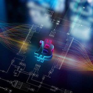 Bitcoin and software stocks have been more correlated in the last months – BTIG’s Krinsky