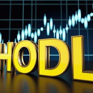 HODL: Bitcoin Showing Clear Signs Of Intrinsic Value?