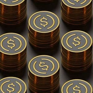 USBC's Bitcoin Exposure And Pre-Launch Platform Risks Remain High