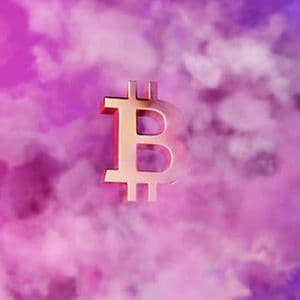 Bitcoin already had a bear market back in 2022 – VanEck’s Sigel