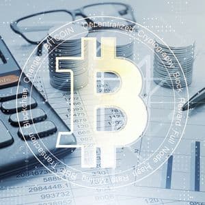 Bitcoin's Evolving Institutional Role