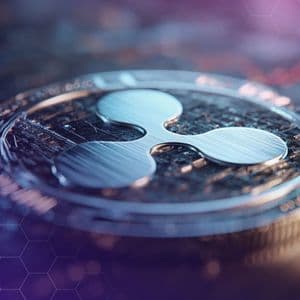 XRP Whales Hit Record High as Price Surges 26% in One Week