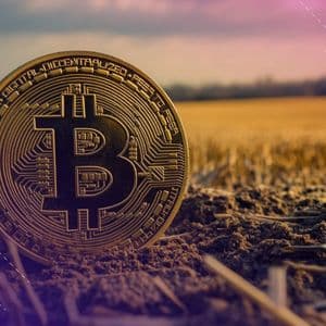 Morgan Stanley Creates Digital-Asset Strategy Post, Names Long-Serving Exec To Lead