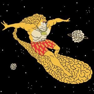 MemeCore Hard Fork Sends M Up 35% as Speculative Flows Extend to Maxi Doge Presale