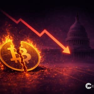 Bitcoin Price Flashes Warning as Nearly Half of Supply Sits at a Loss