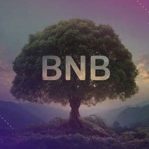 Binance Just Burned $1.32 Billion Worth of BNB Crypto in a Single Day: Is a Break Above $650 Next?
