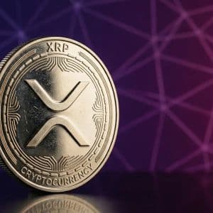 XRP News: Ripple CTO Backs John Deaton’s Senate Bid with XRP Donation