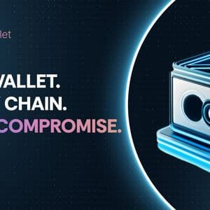 Cold Wallet’s $270M Deal Gains Edge Over Toncoin’s Treasury and AVAX’s Resistance