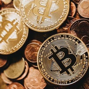Willy Woo: Bitcoin Needs Massive Capital to Rival Gold and the US Dollar