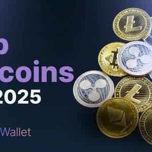 Top Altcoins to Buy Now: Cold Wallet, Solana, Polygon, and Avalanche Might Be the Biggest Crypto Wins of 2025