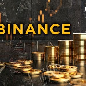 Insane: Binance Wallet Grabs 95% DEX Market Share