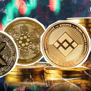 Binance Goes Zero Fee on XRP, ADA, BNB Pairs: Details