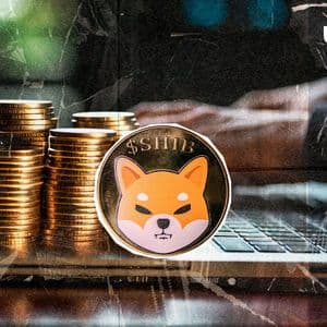 Shiba Inu Dev Issues Major Clarification for SHIB Community: Details