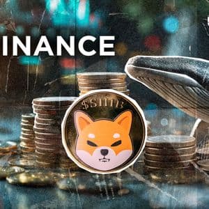 Mysterious Binance Shiba Inu Whale Reawakens After 6 Months with 15,182,013,963 SHIB Withdrawal
