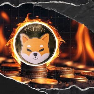 SHIB Burns Skyrocket 1,344%: 28,863,518 SHIB Torched